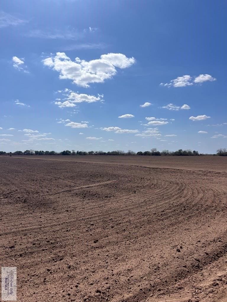 13.47 acres in CAMERON County - photo 7