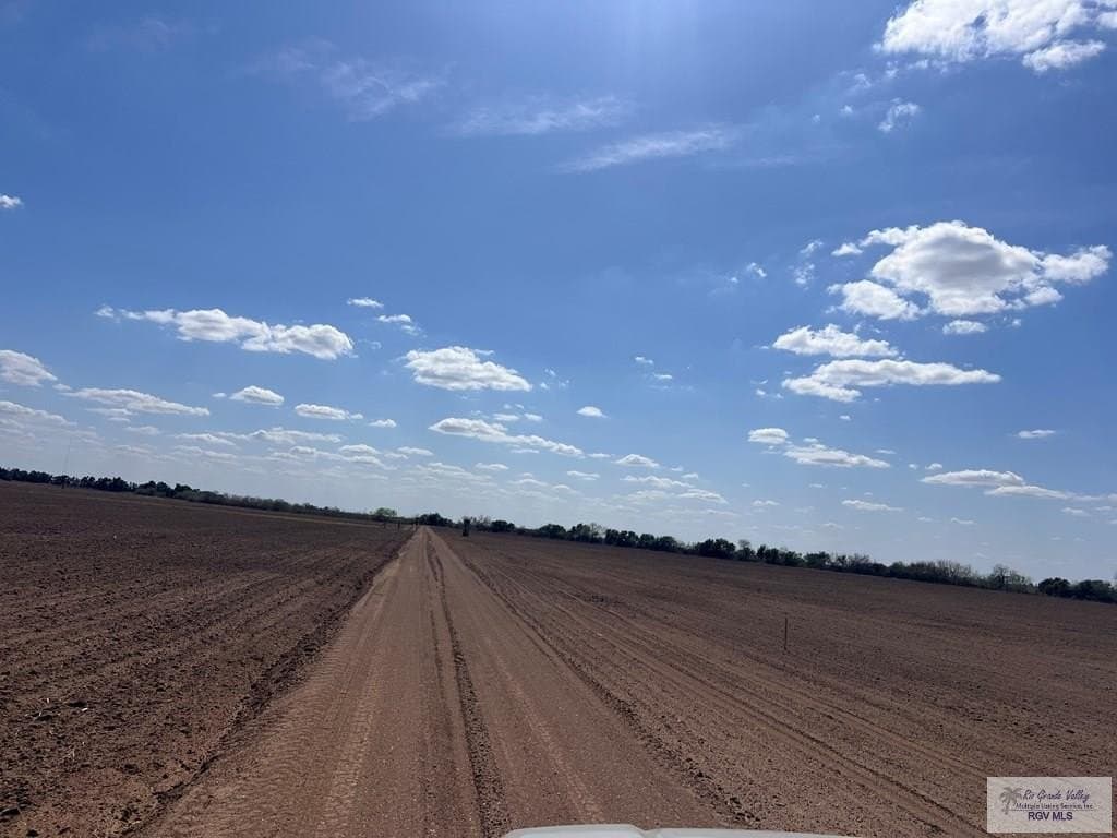 13.47 acres in CAMERON County gallery image 4