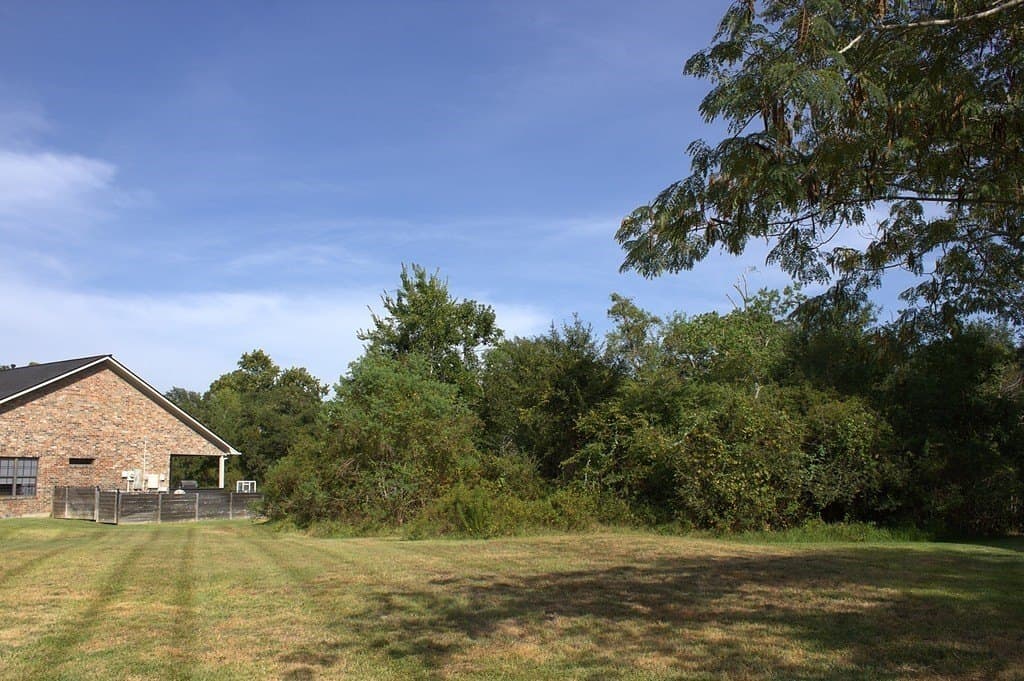 0.33 acres in Austin County - photo 3