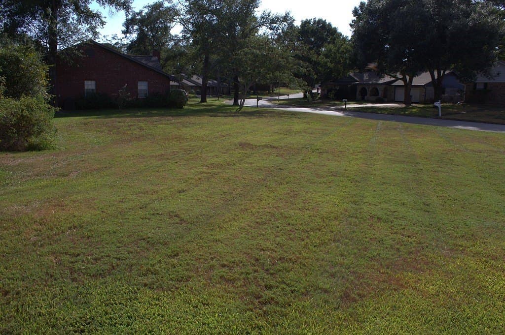 0.33 acres in Austin County - photo 2
