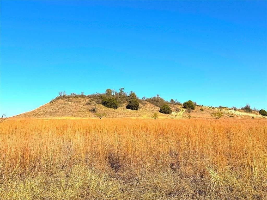 146.4 acres in Jack County gallery image 4