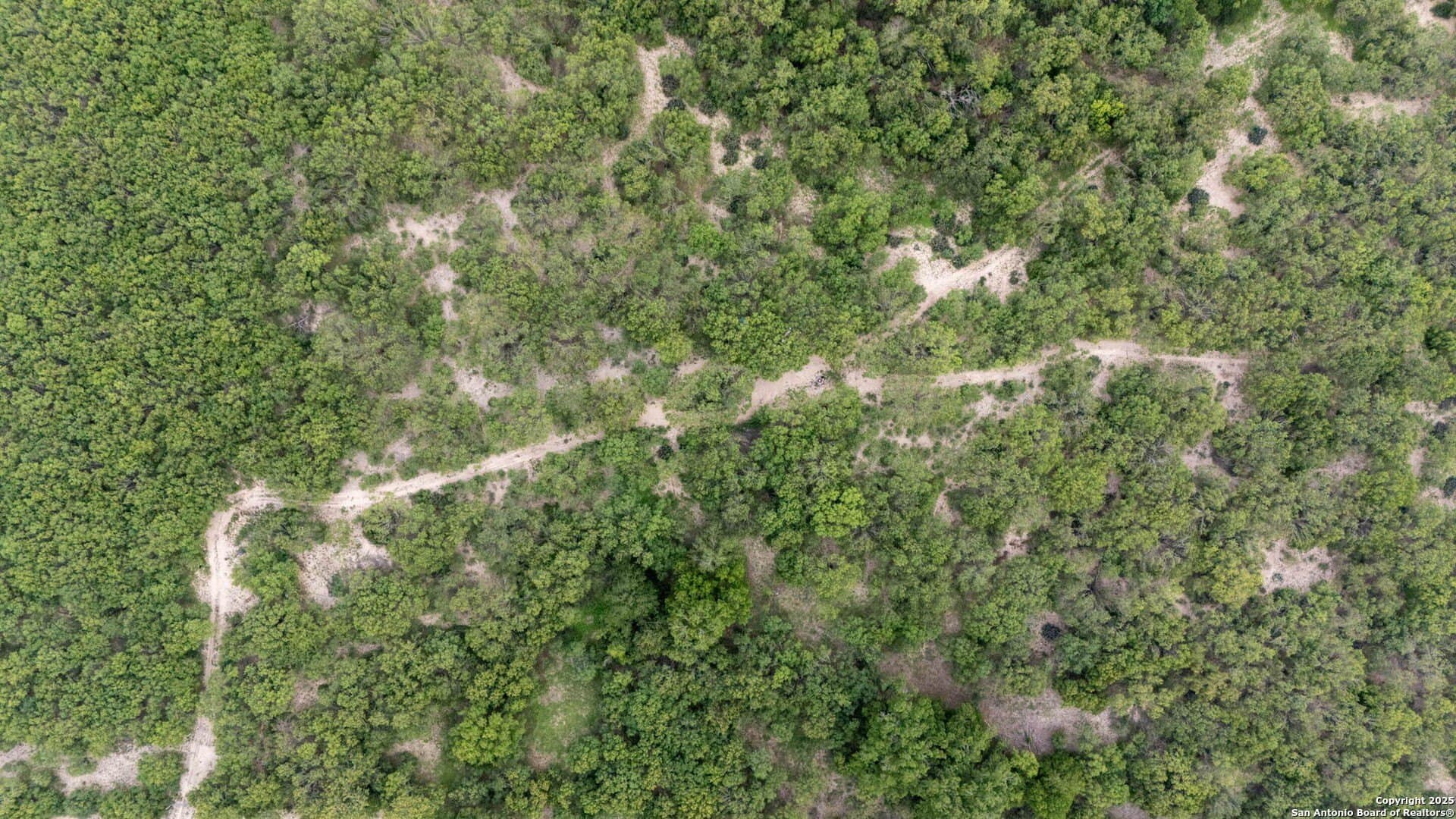 29 acres in Wilson County - photo 17
