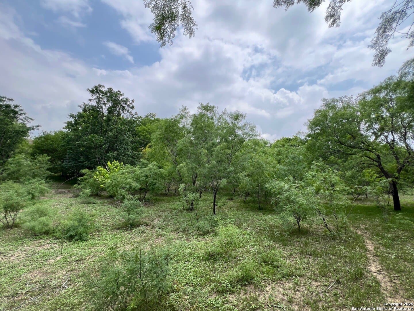 29 acres in Wilson County - photo 9