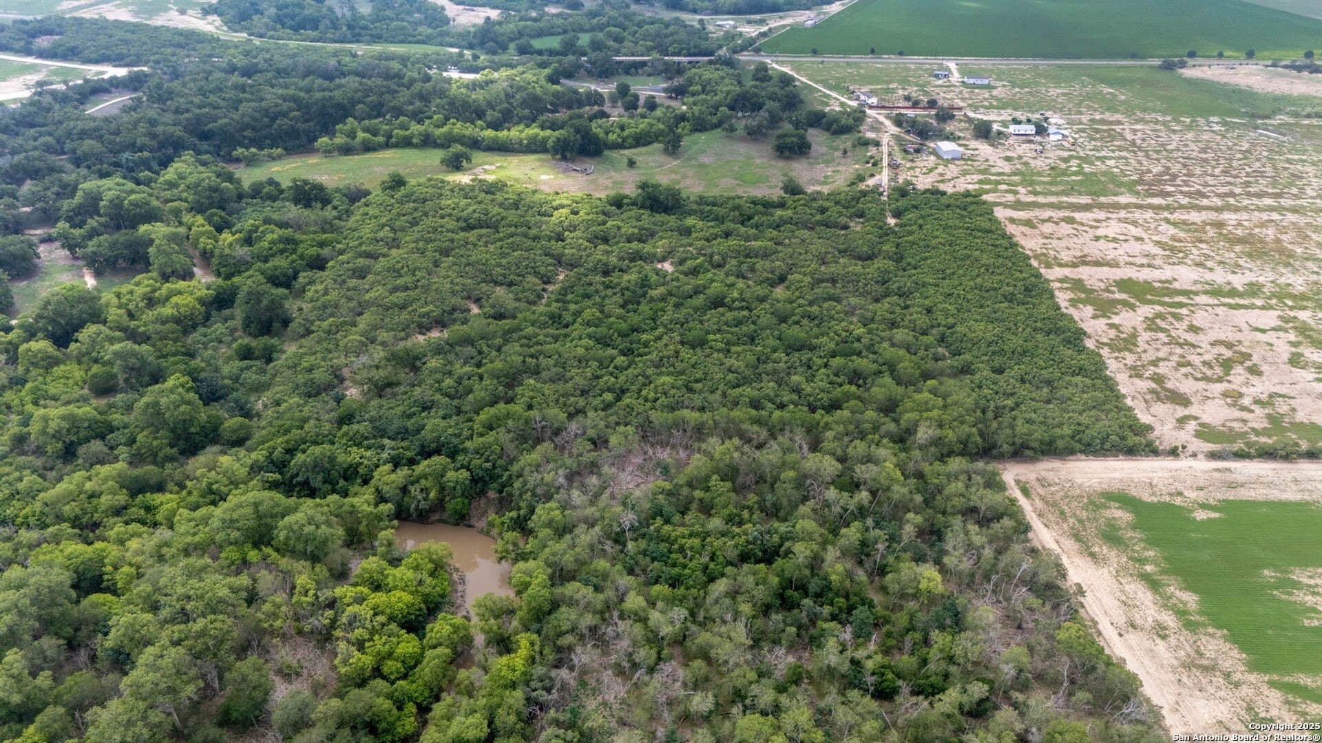29 acres in Wilson County - photo 16