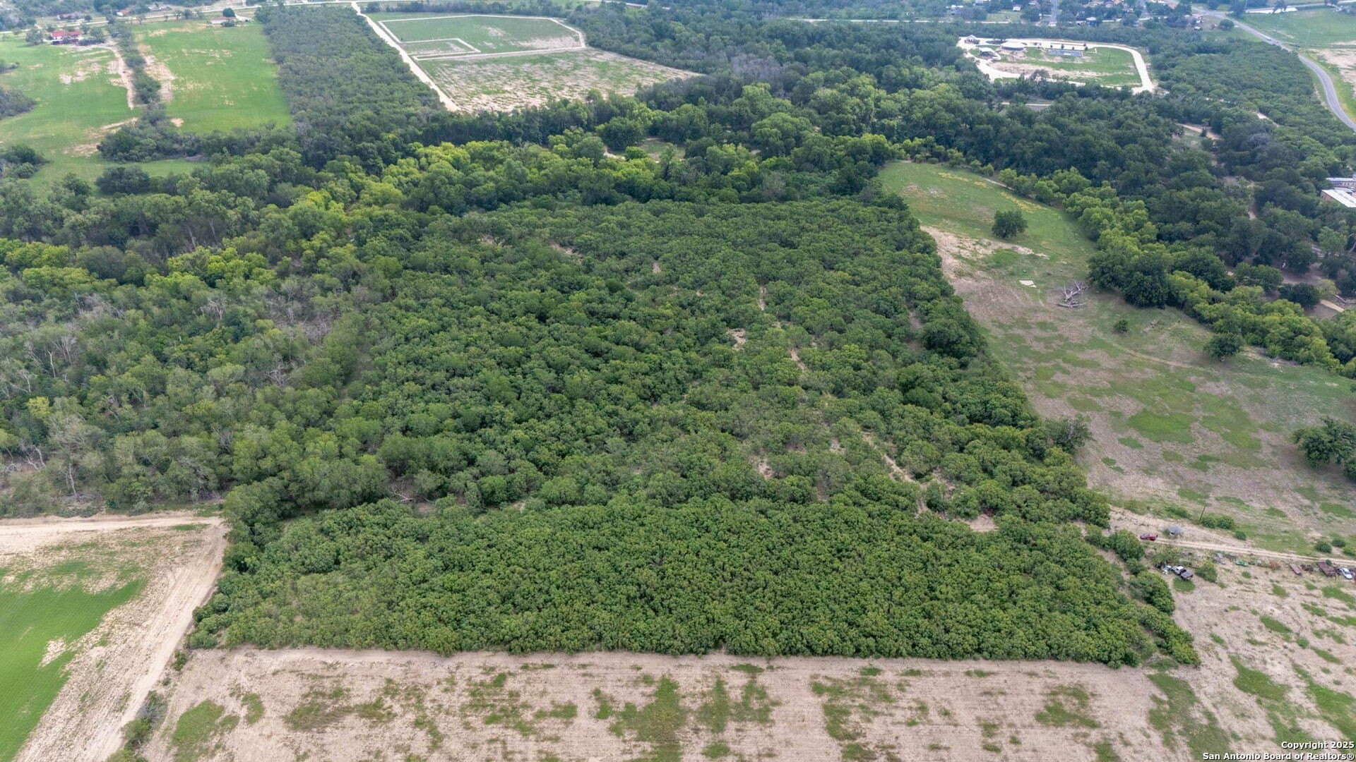 29 acres in Wilson County - photo 18