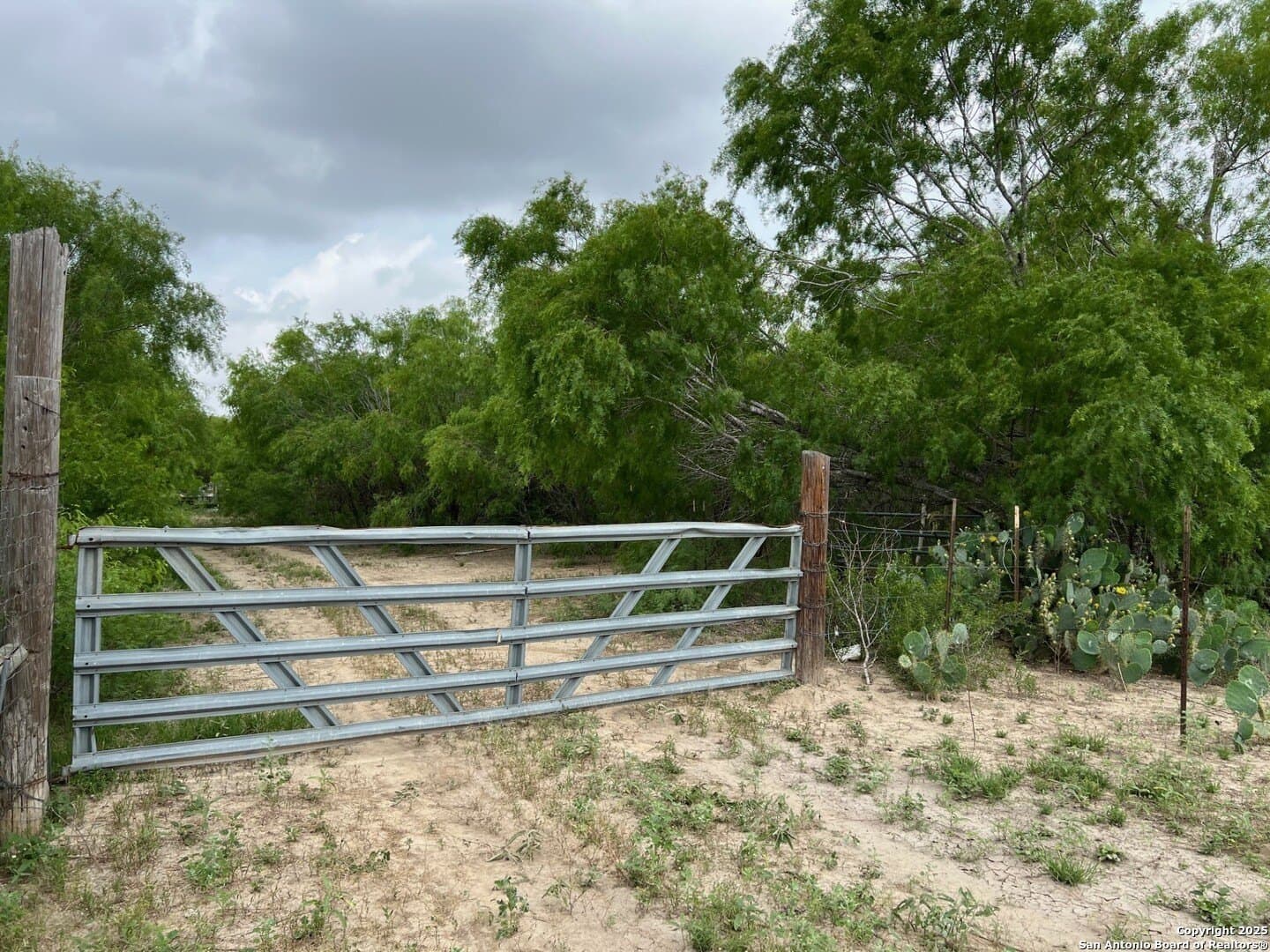 29 acres in Wilson County featured view