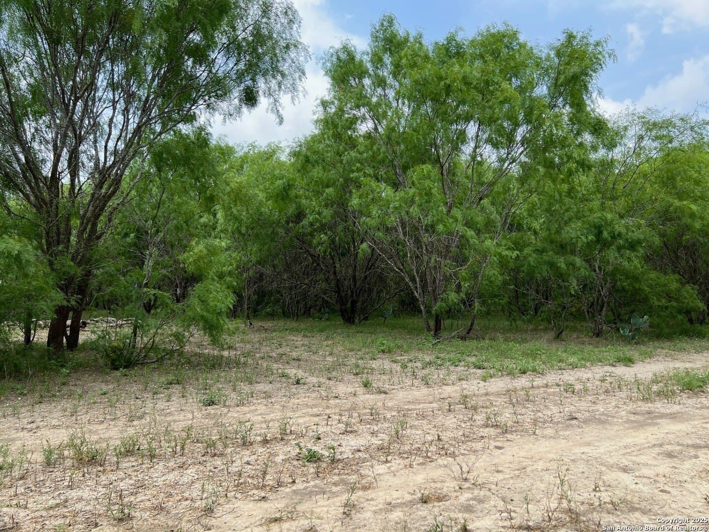 29 acres in Wilson County - photo 24