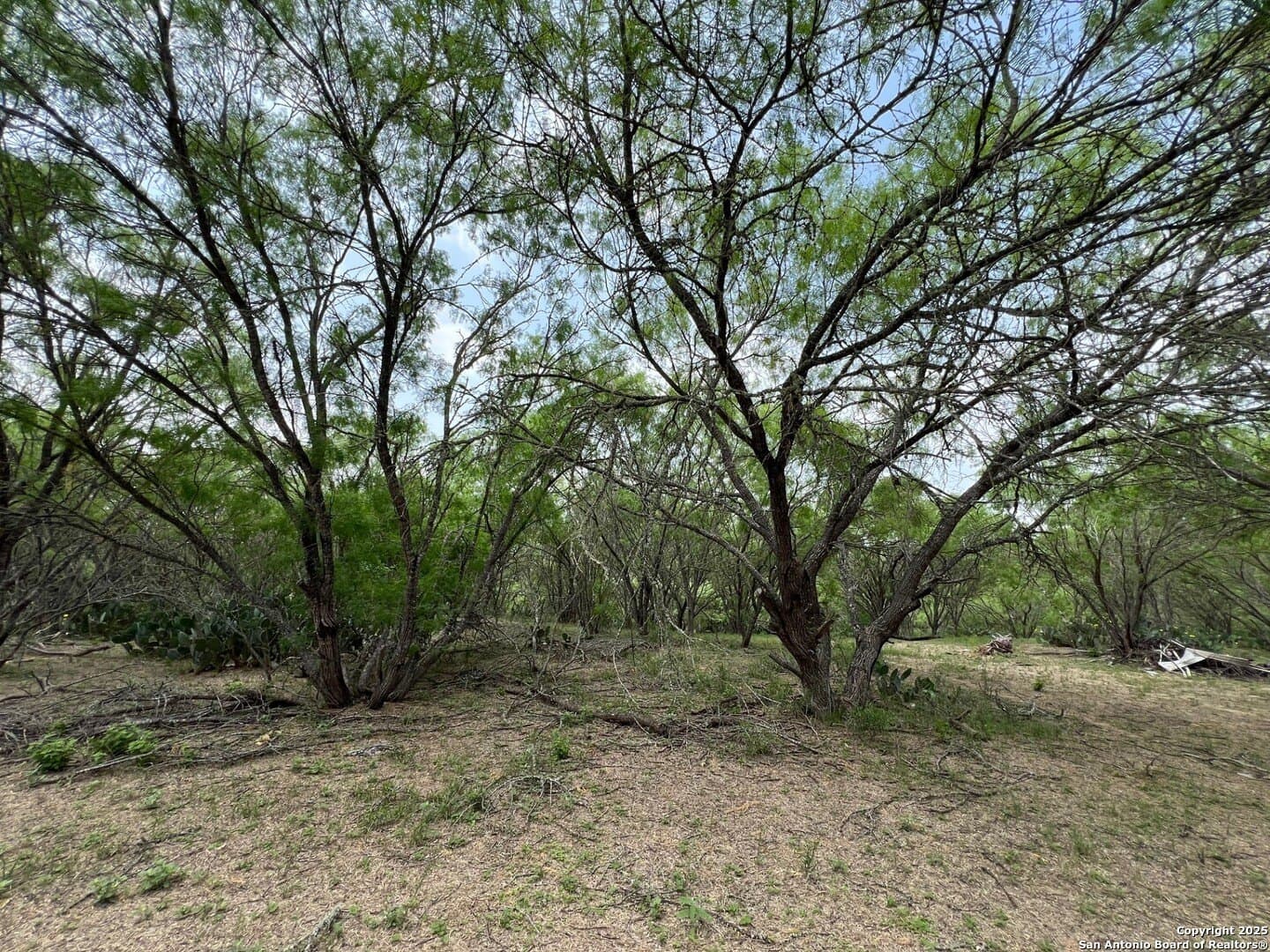 29 acres in Wilson County - photo 11