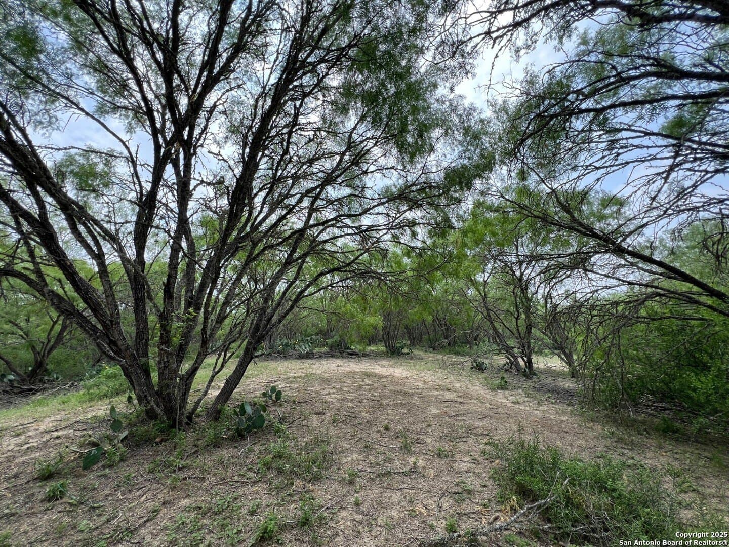 29 acres in Wilson County - photo 6