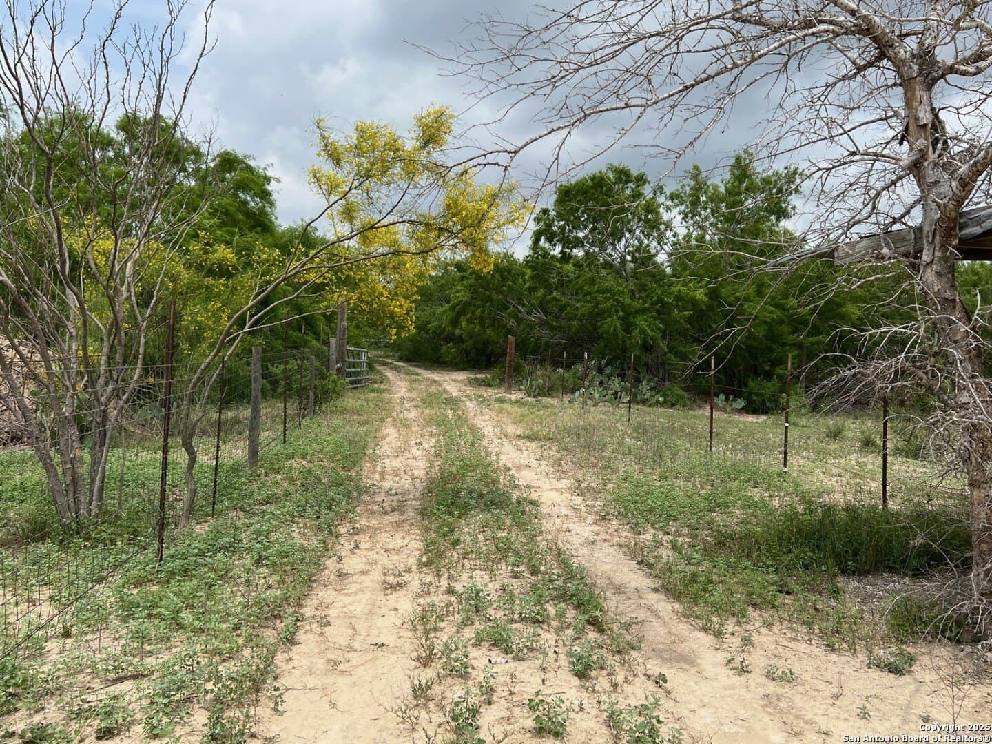 29 acres in Wilson County gallery image 4