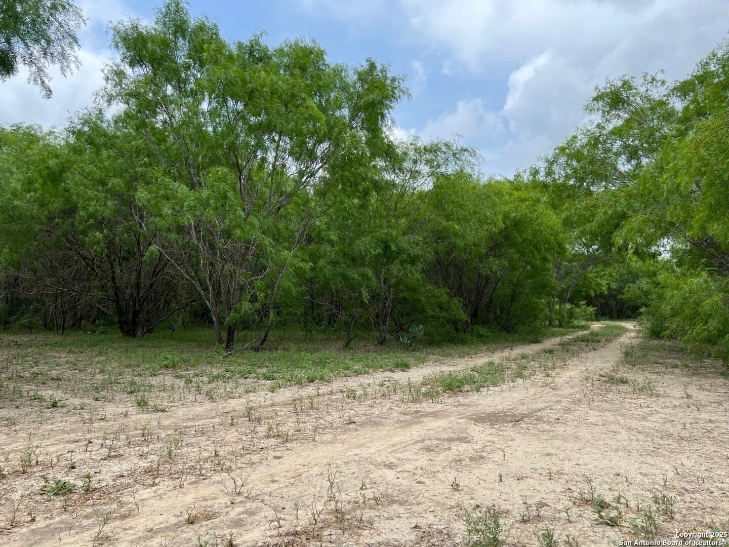 29 acres in Wilson County - photo 23