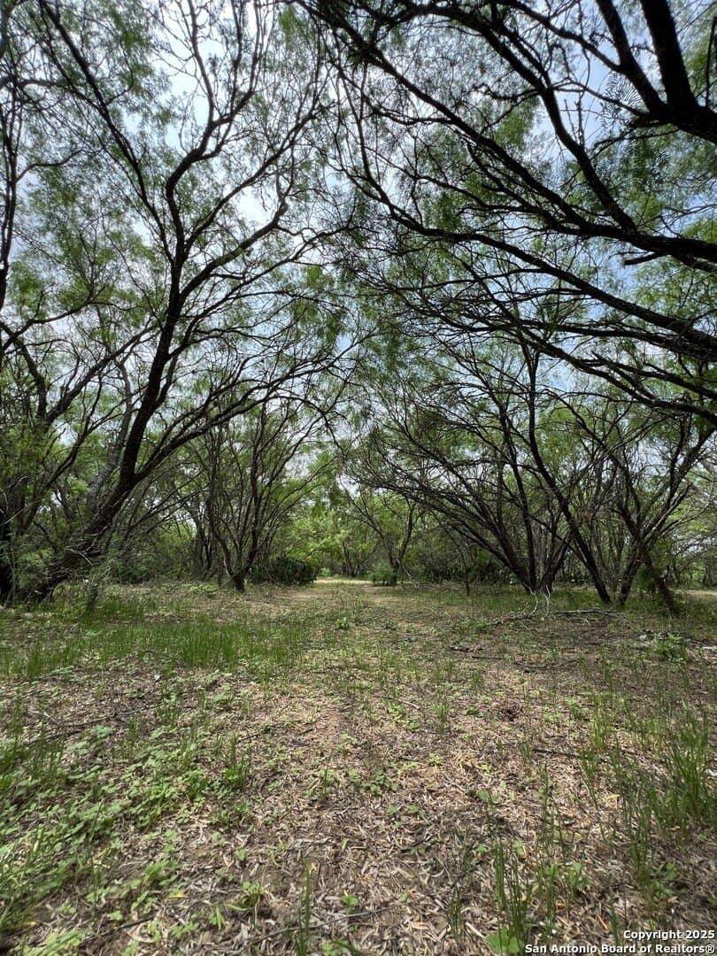 29 acres in Wilson County - photo 19