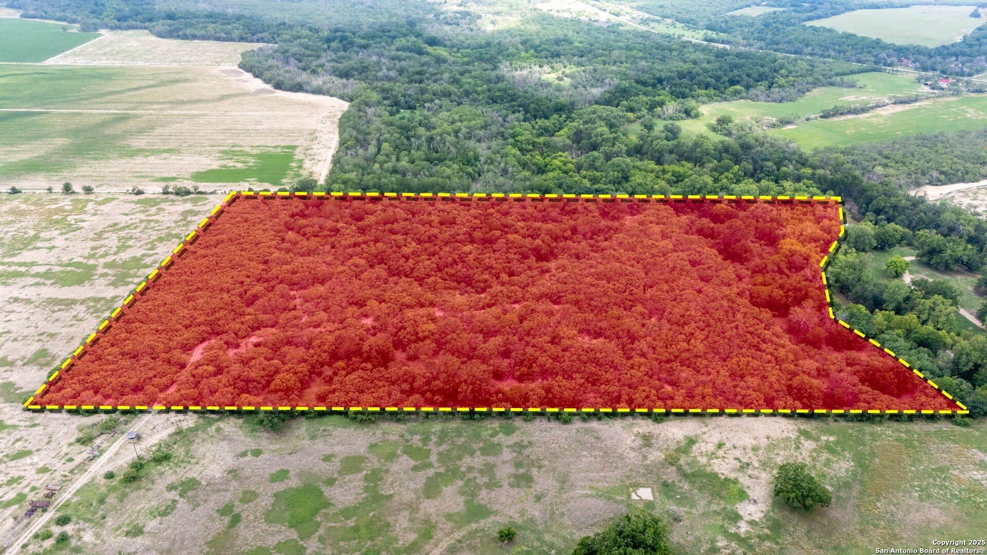 29 acres in Wilson County gallery image 2