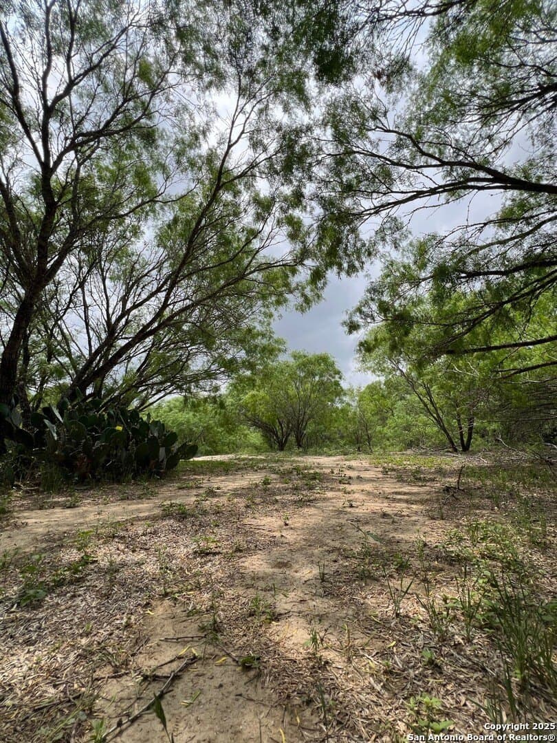 29 acres in Wilson County - photo 21