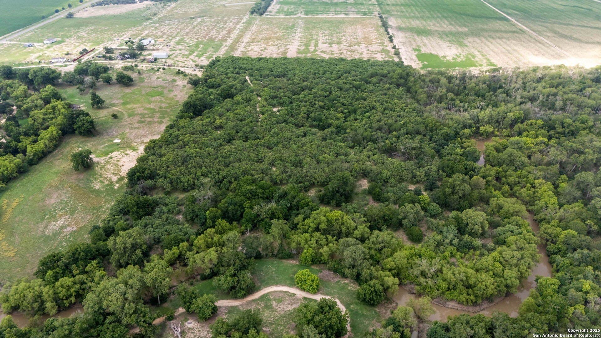 29 acres in Wilson County - photo 14