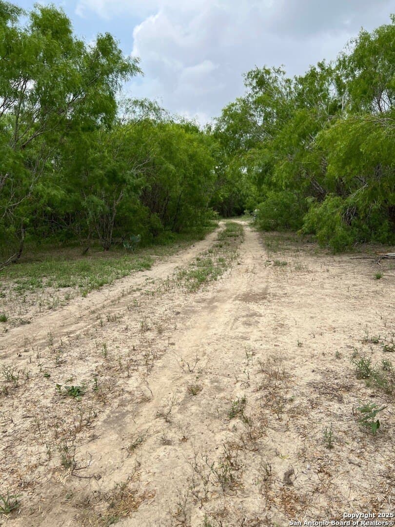 29 acres in Wilson County - photo 22