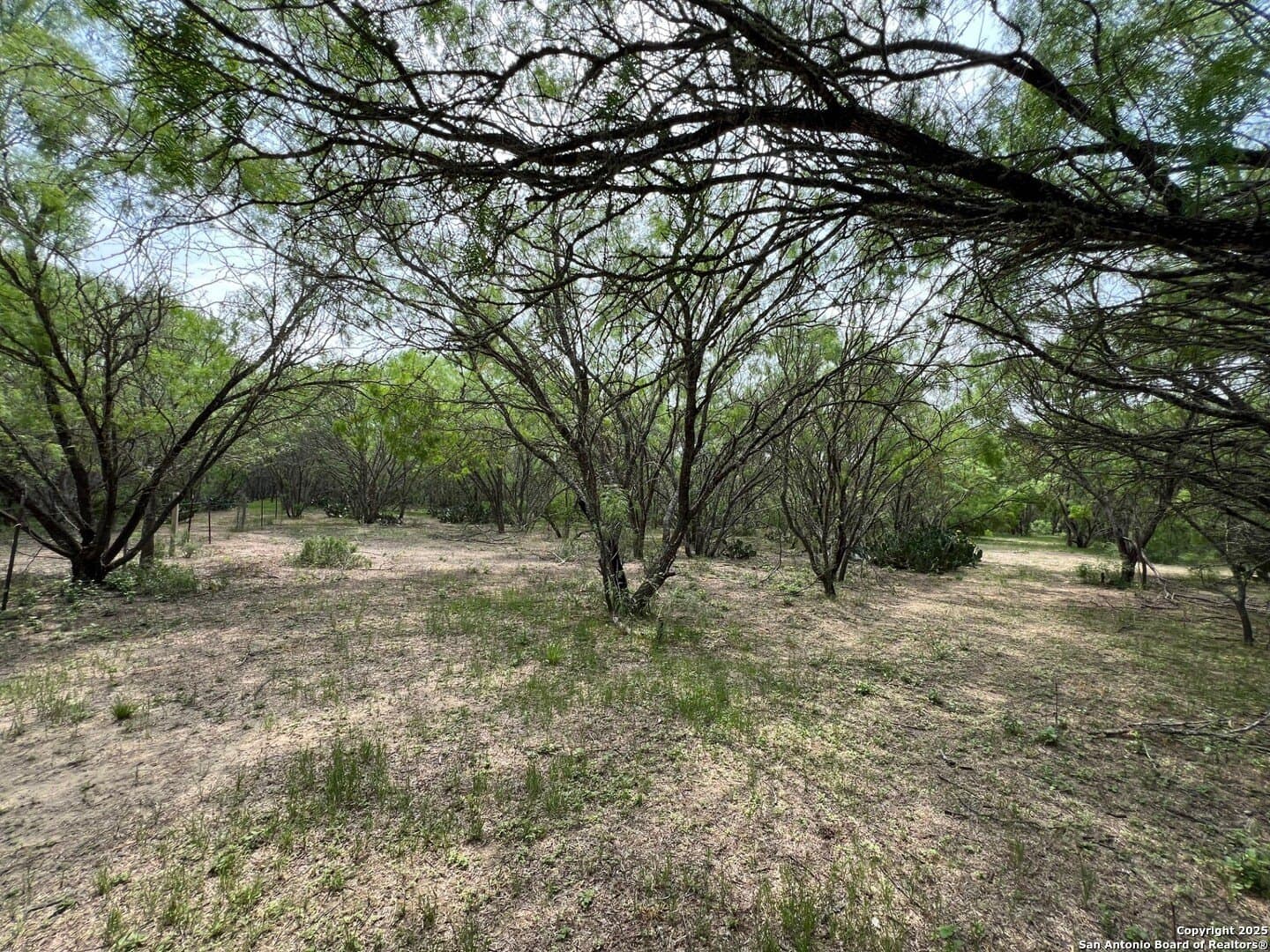 29 acres in Wilson County - photo 12