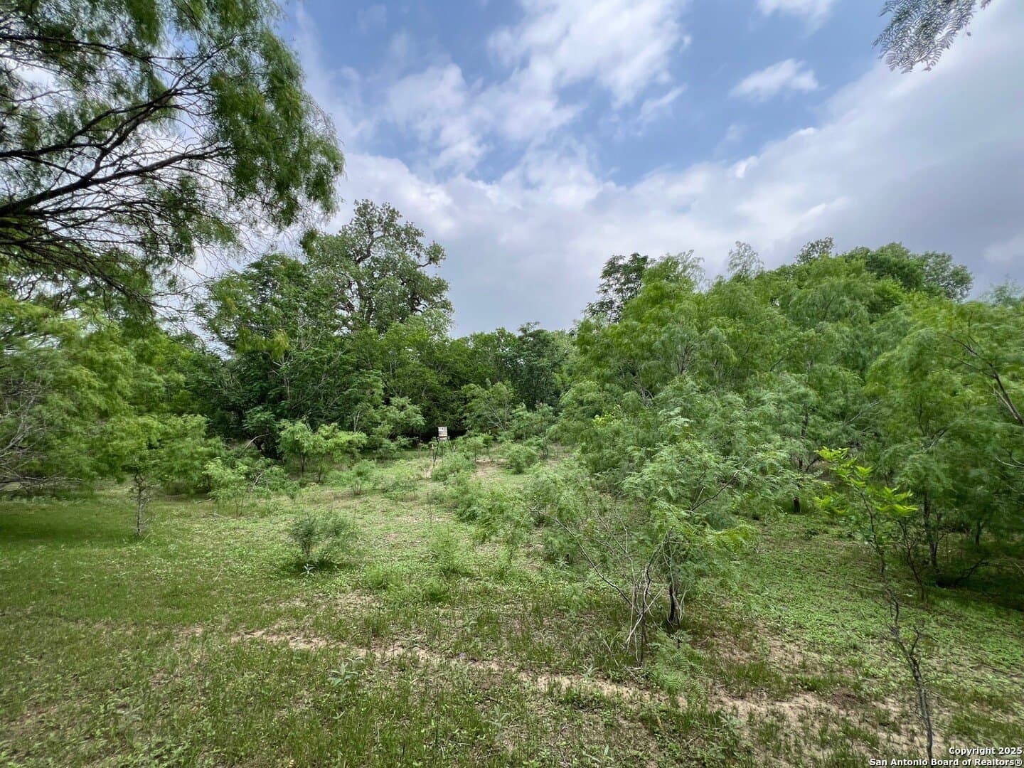 29 acres in Wilson County - photo 7