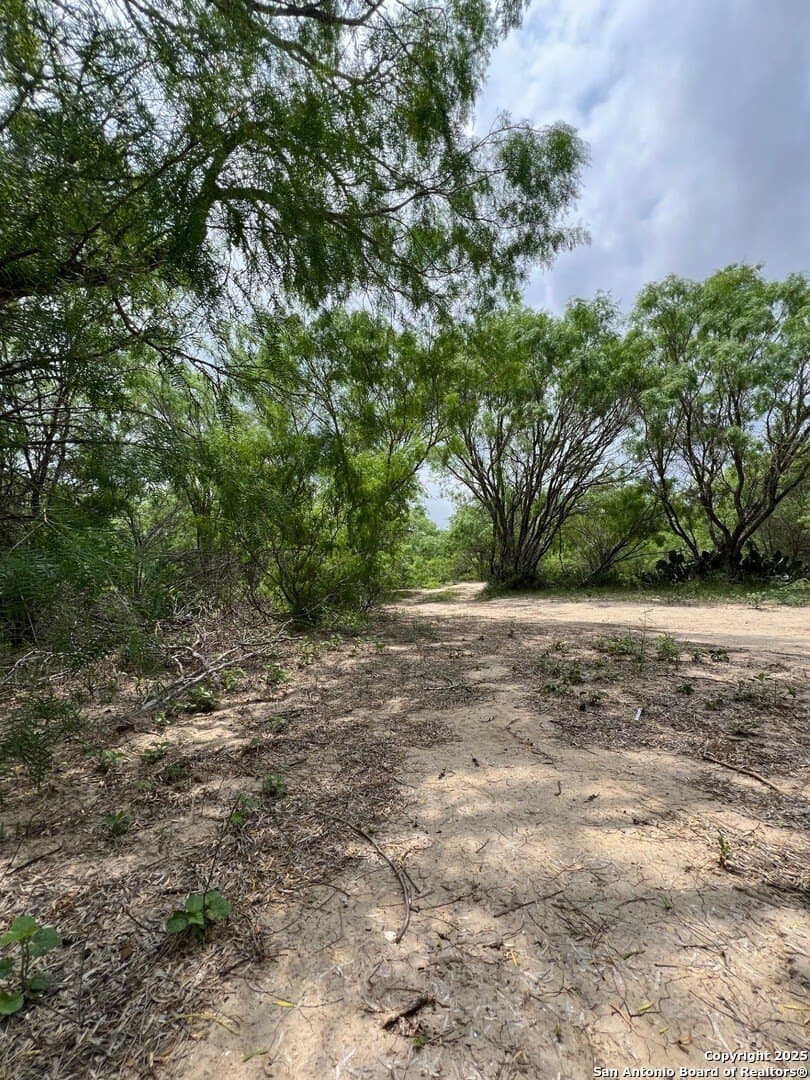 29 acres in Wilson County - photo 20
