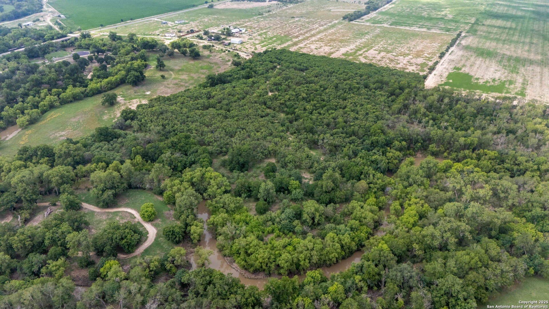 29 acres in Wilson County - photo 15