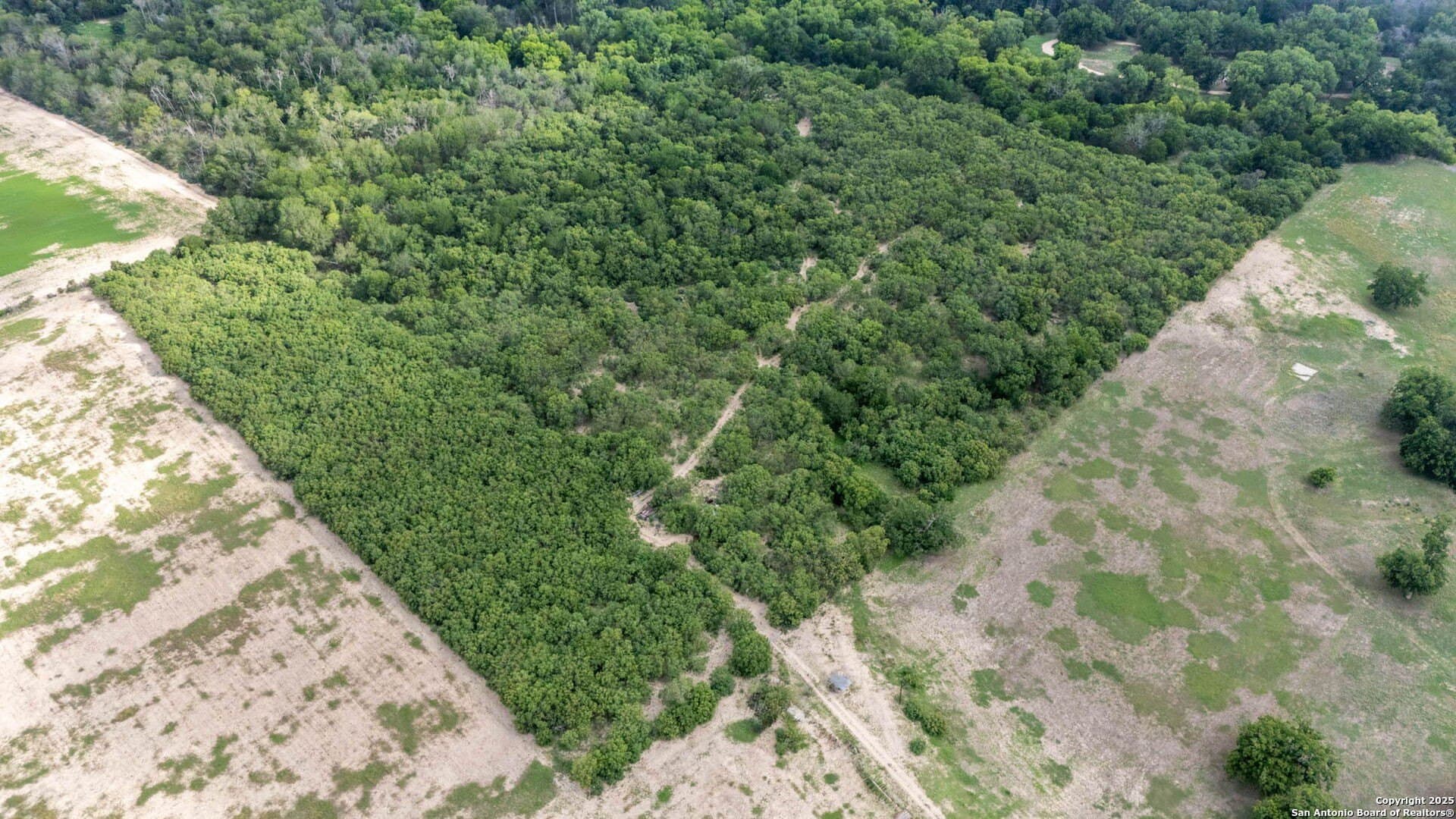 29 acres in Wilson County - photo 13
