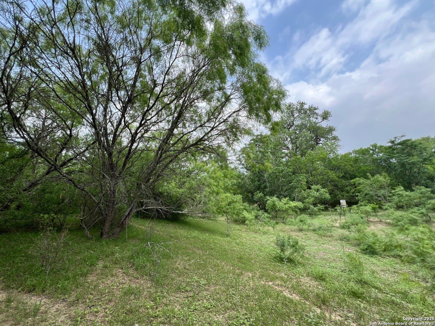 29 acres in Wilson County - photo 8