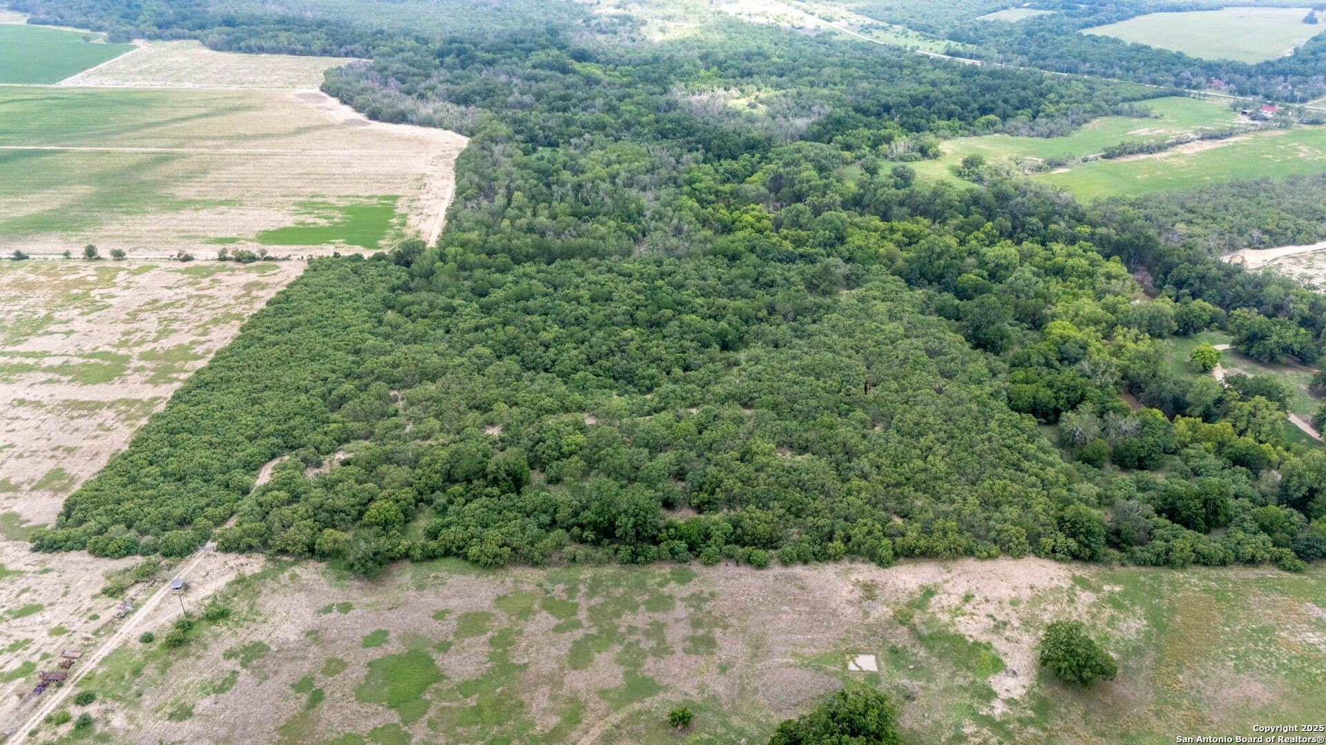 29 acres in Wilson County