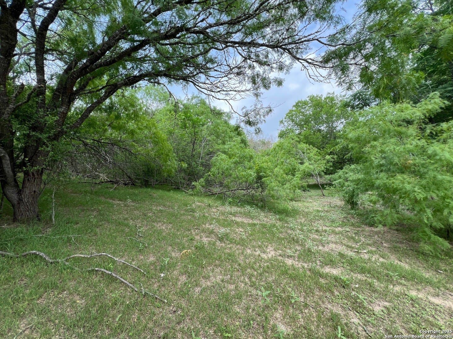 29 acres in Wilson County - photo 10
