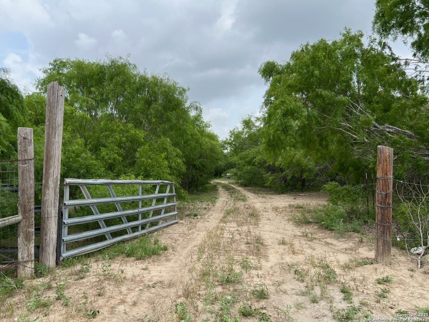 29 acres in Wilson County gallery image 3