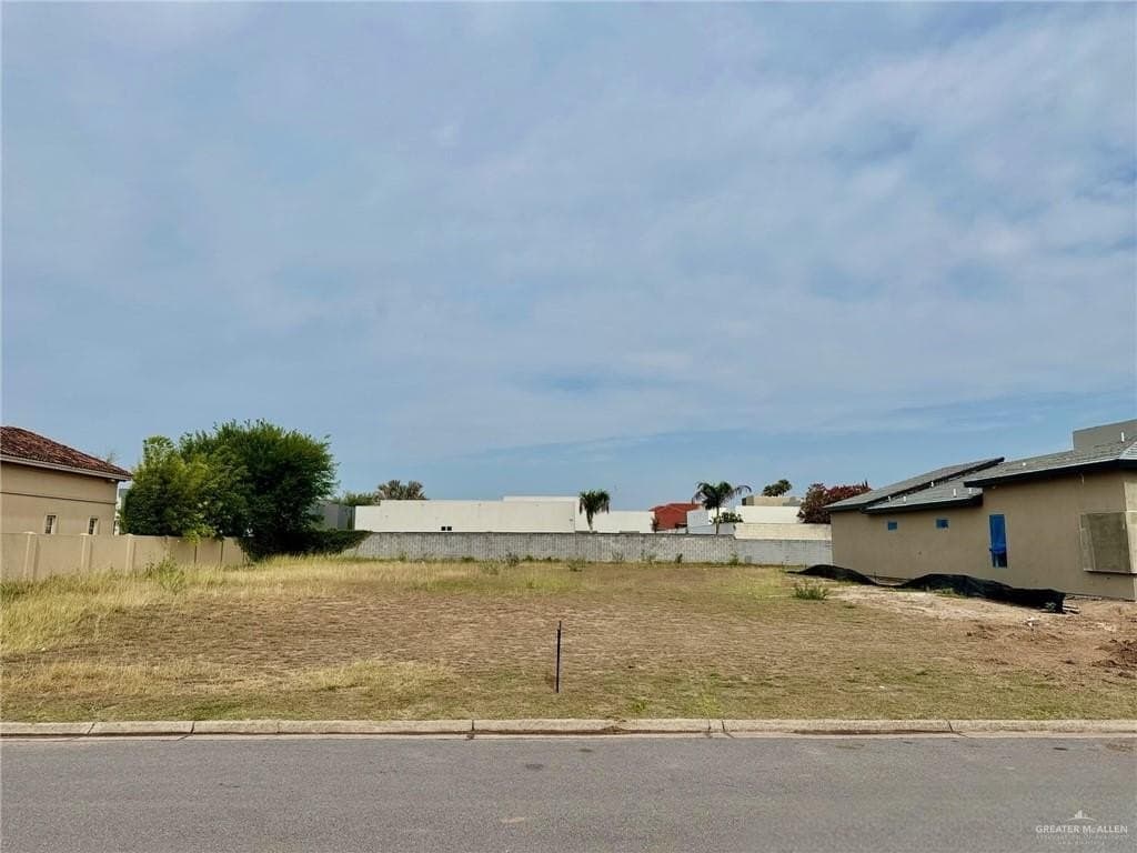 0.34 acres in Hidalgo County gallery image 2