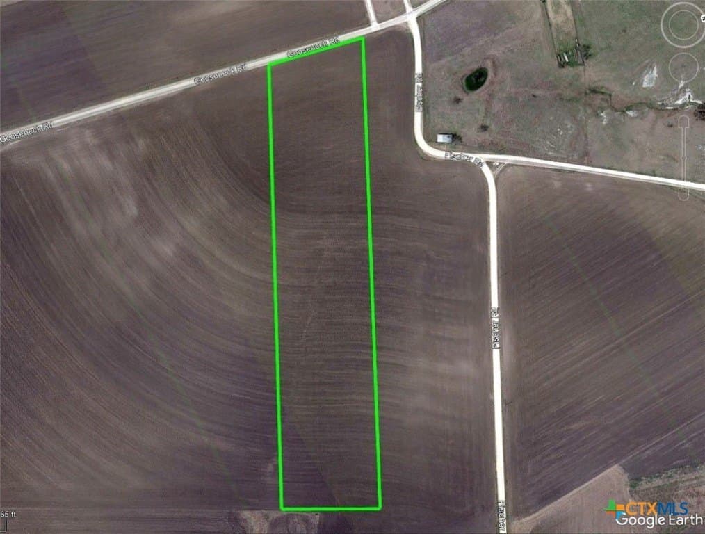 11 acres in Bell County gallery image 3
