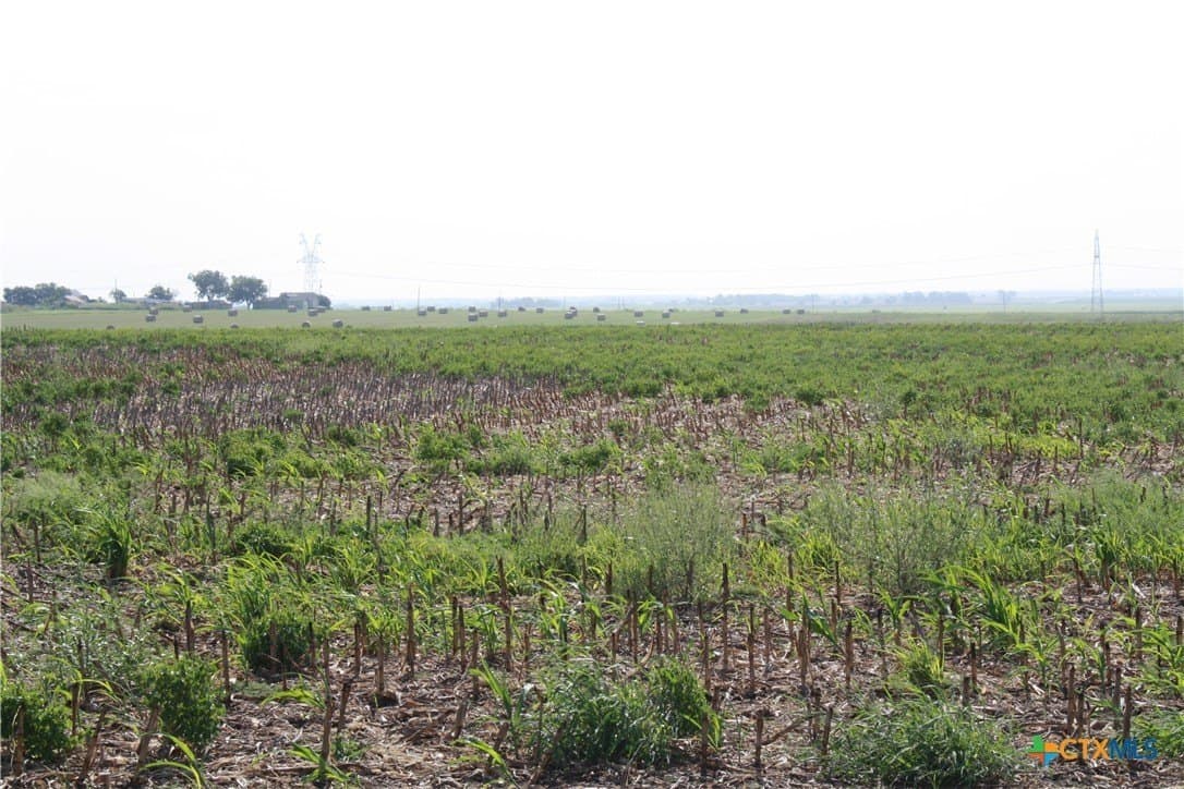 11 acres in Bell County featured view