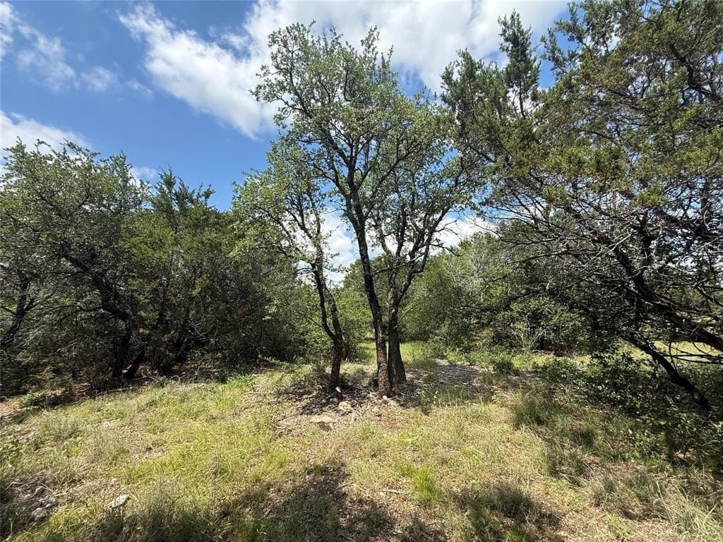 10 acres in Hood County gallery image 2