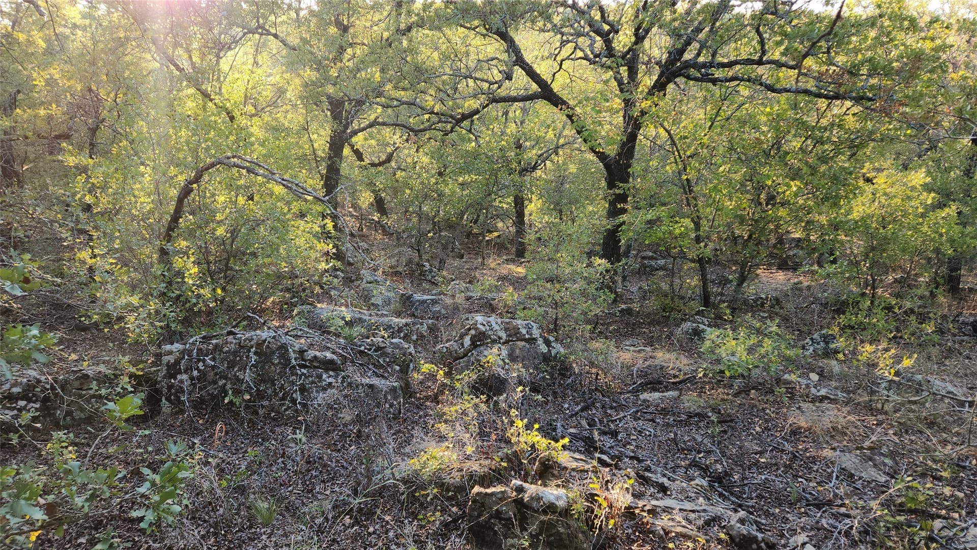 2.01 acres in Montague County - photo 7