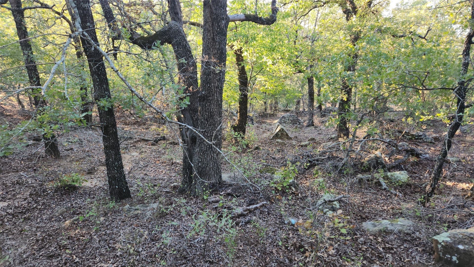 2.01 acres in Montague County - photo 2