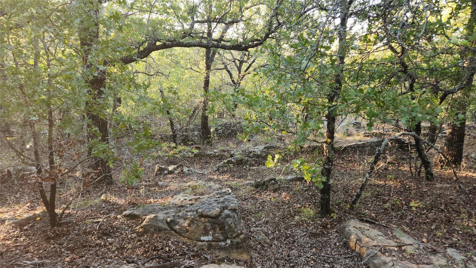 2.01 acres in Montague County - photo 8