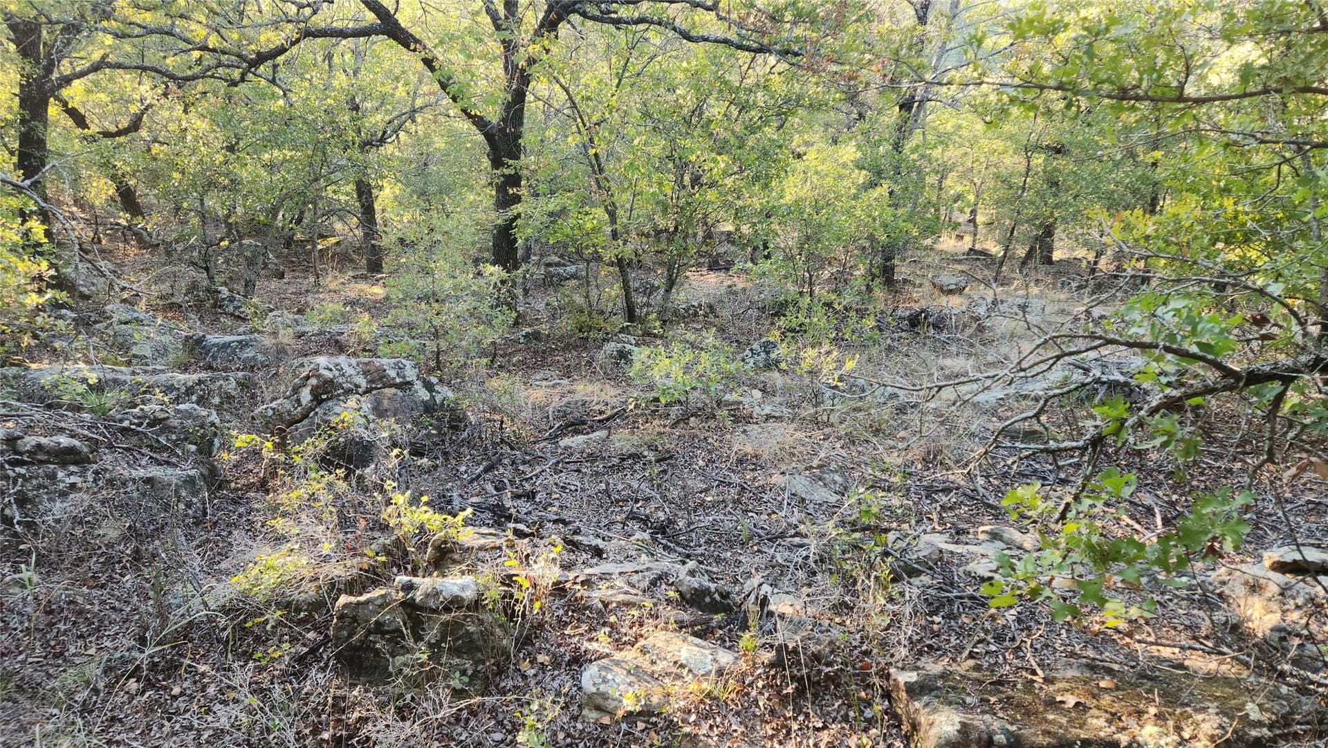2.01 acres in Montague County - photo 4