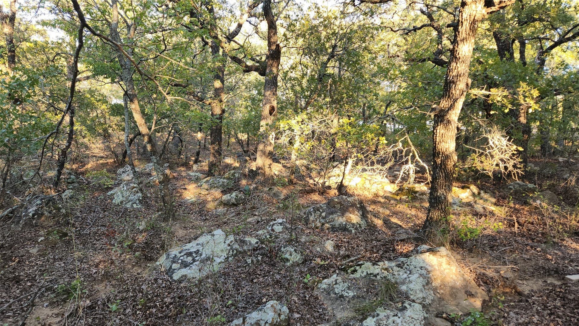 2.01 acres in Montague County