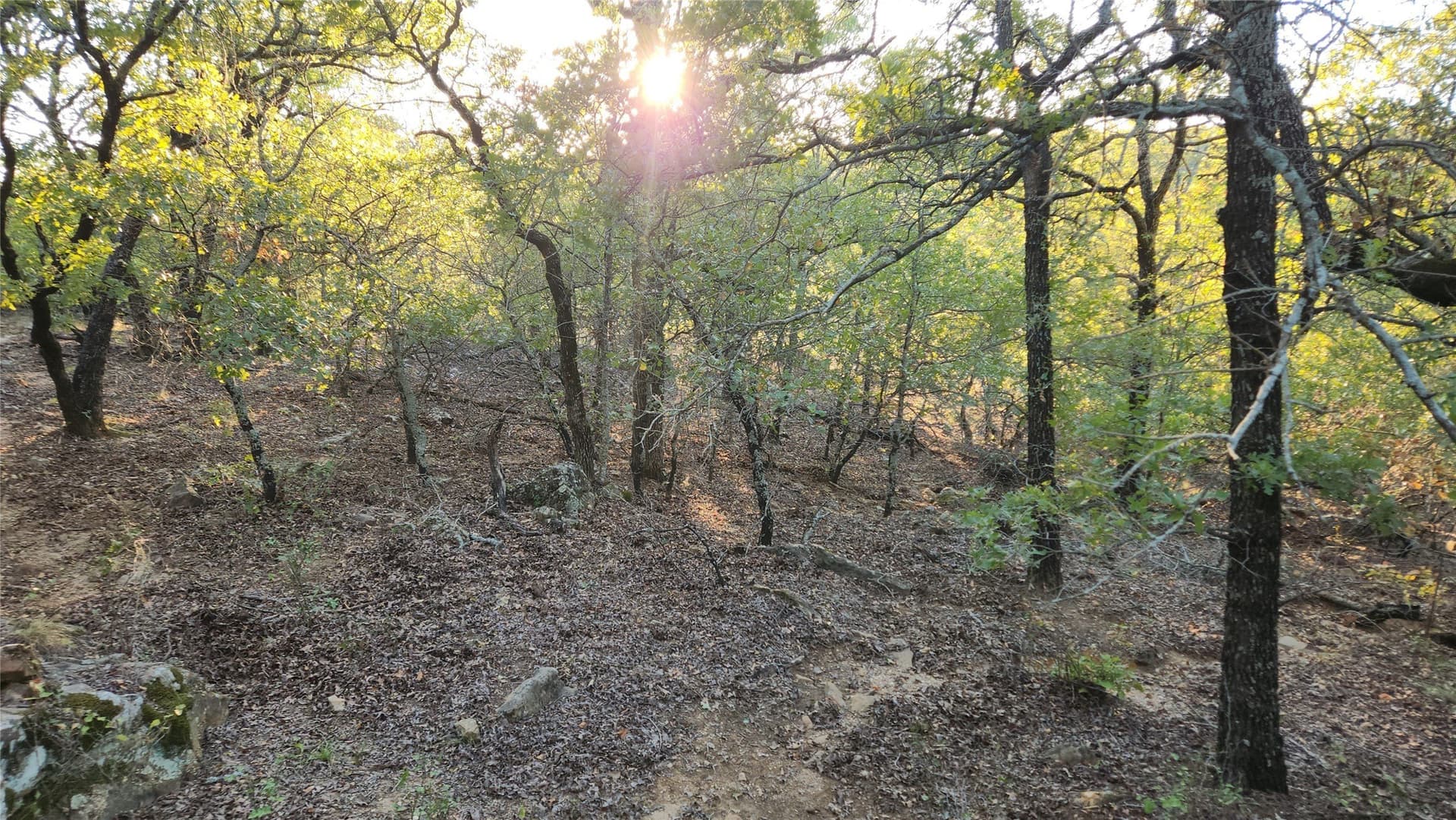 2.01 acres in Montague County - photo 3
