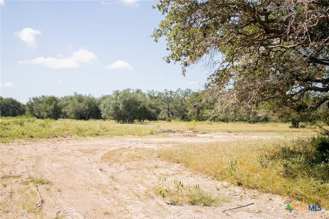 32.25 acres in Goliad County - photo 11
