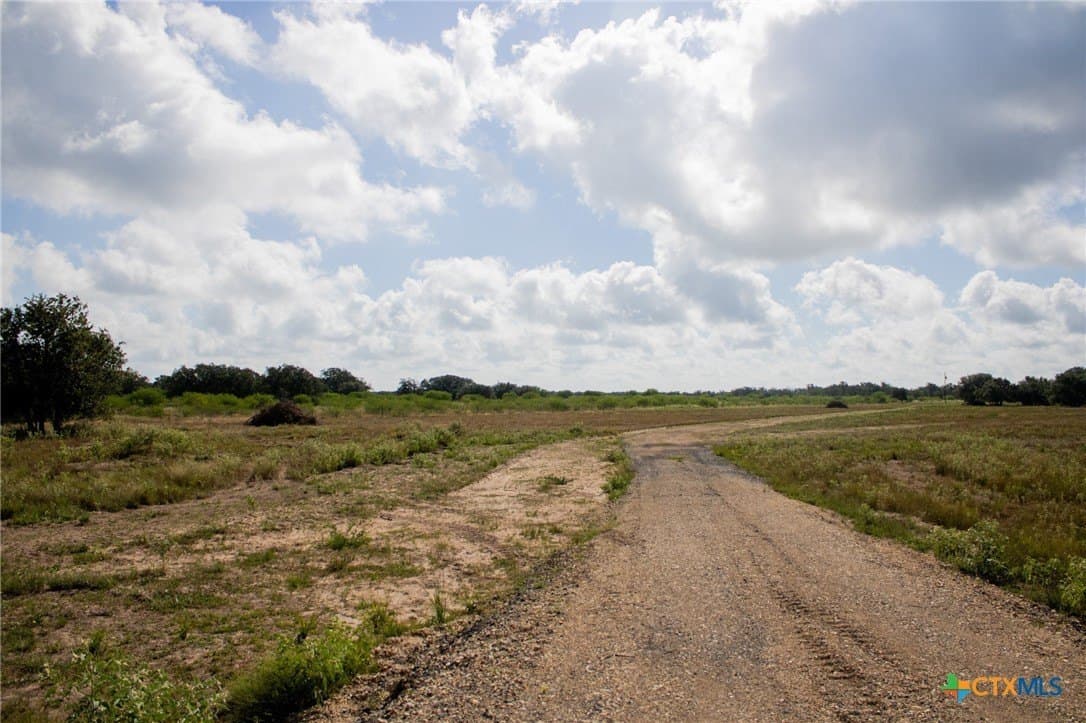 32.25 acres in Goliad County - photo 5