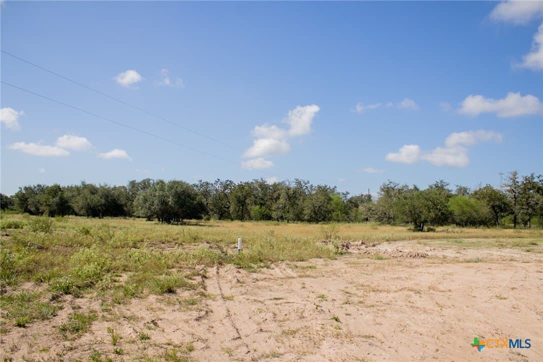 32.25 acres in Goliad County - photo 15