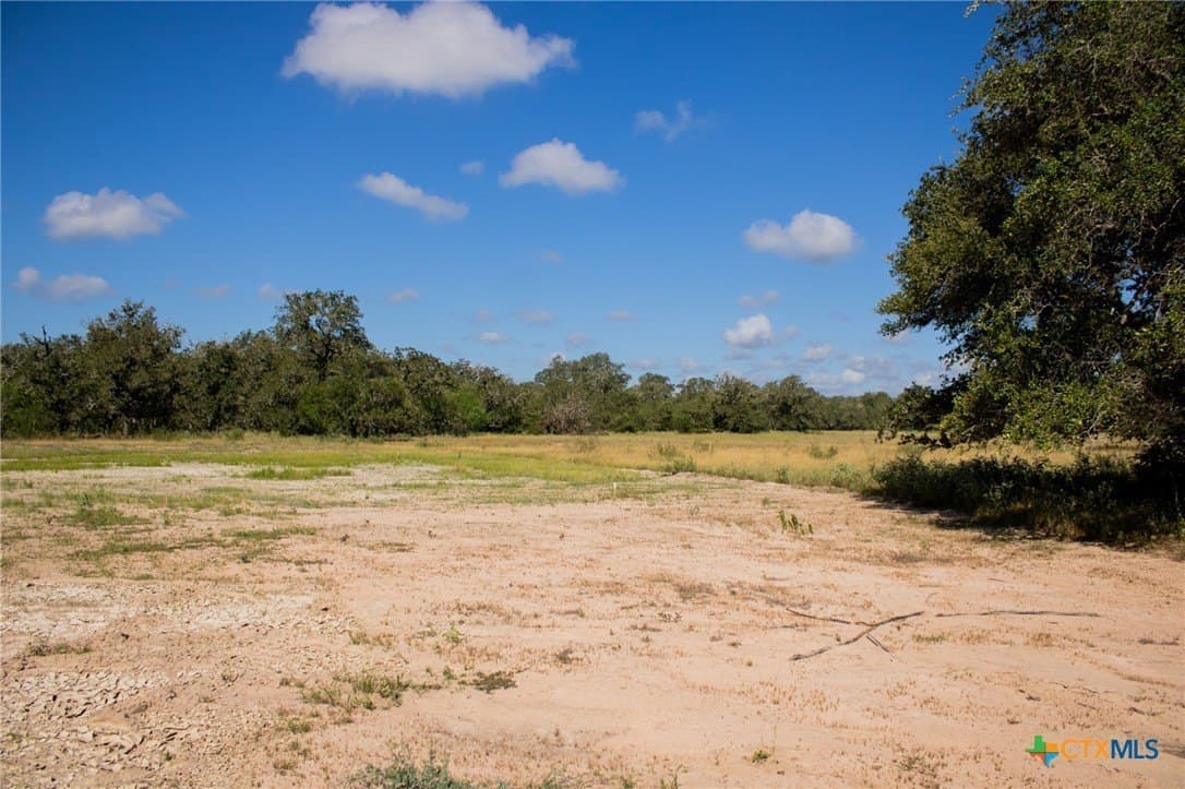 32.25 acres in Goliad County - photo 19