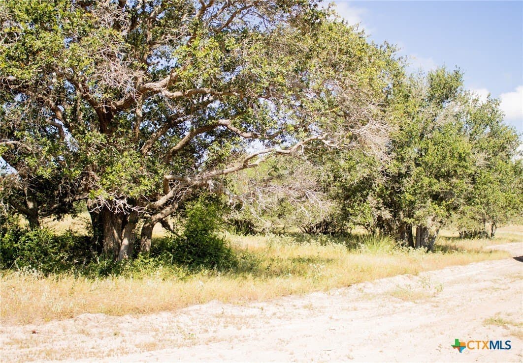 32.25 acres in Goliad County - photo 13