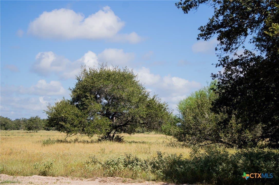 32.25 acres in Goliad County - photo 23