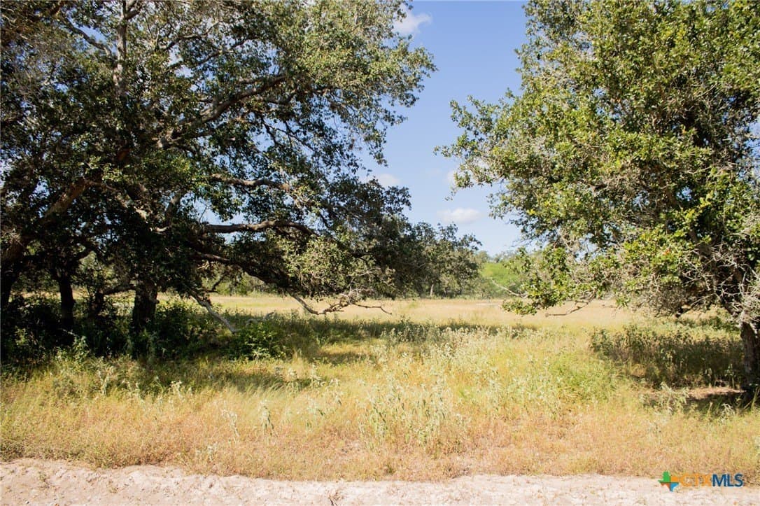 32.25 acres in Goliad County - photo 12