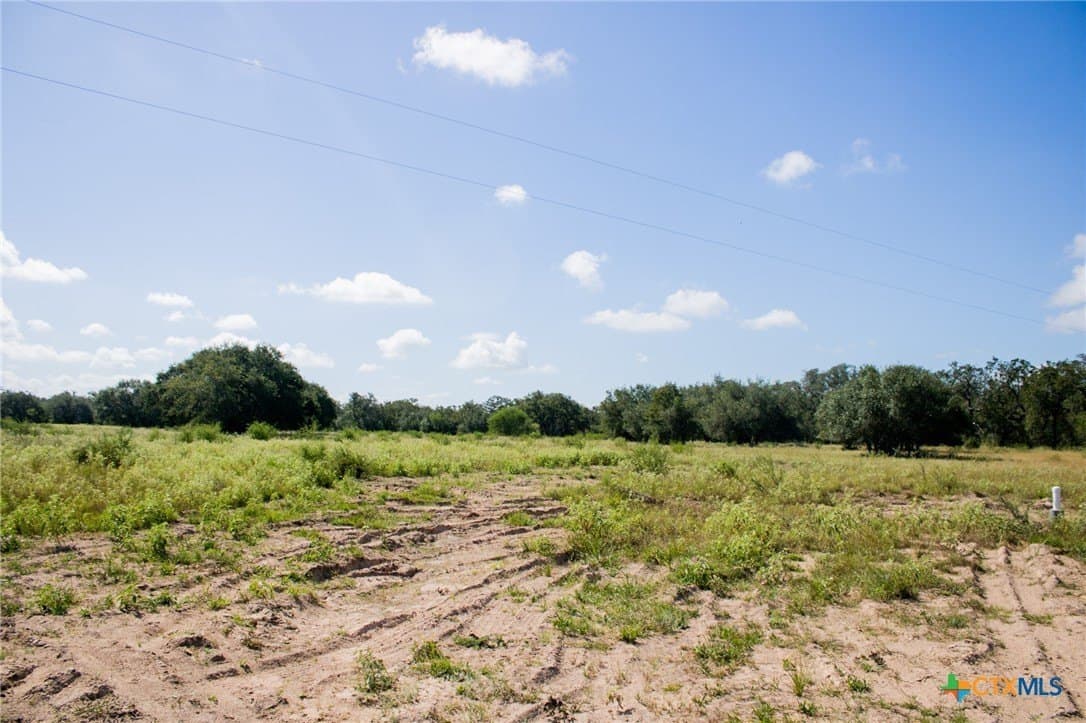 32.25 acres in Goliad County - photo 16
