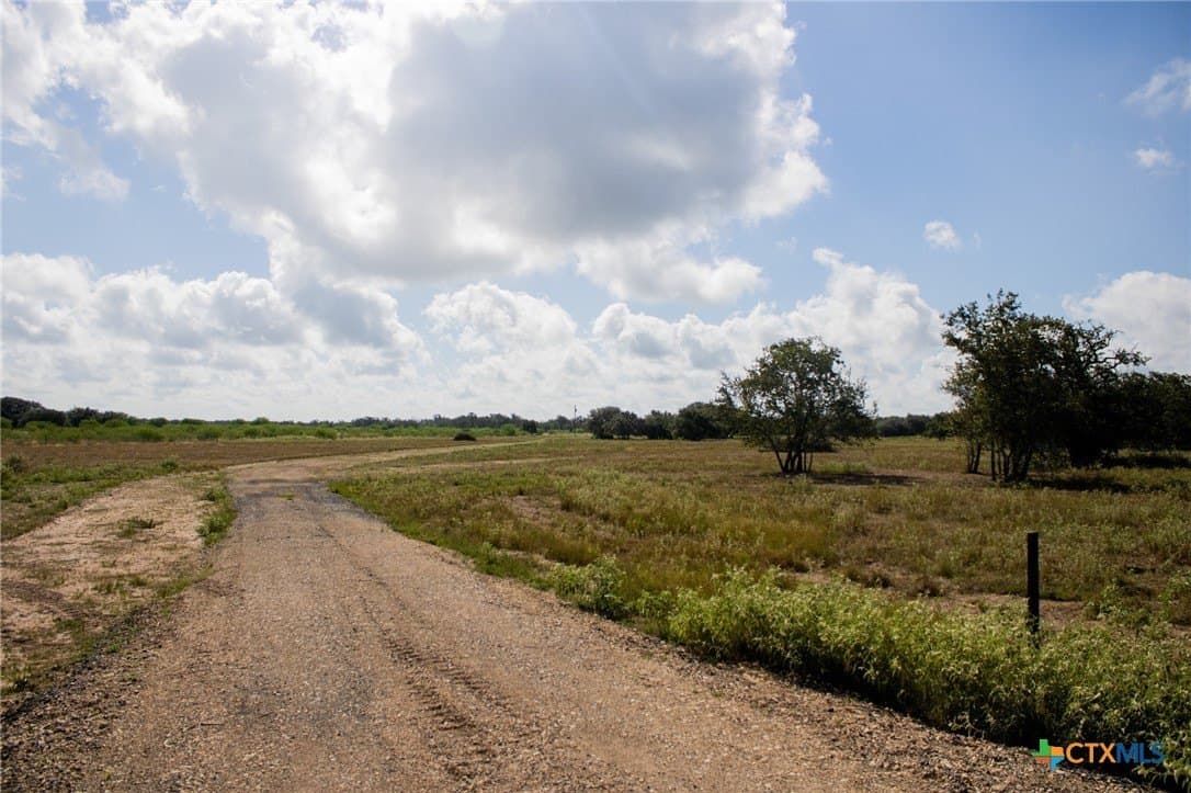 32.25 acres in Goliad County - photo 4