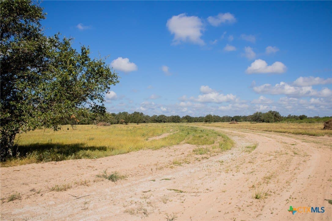 32.25 acres in Goliad County - photo 10