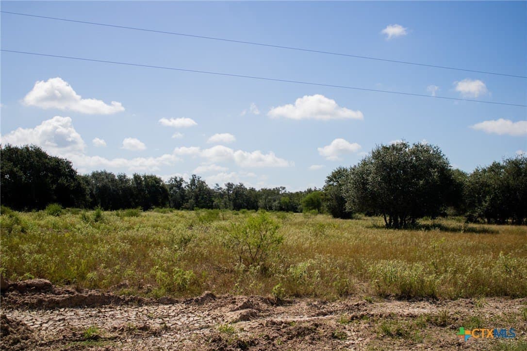 32.25 acres in Goliad County - photo 21
